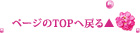 ページのTOPへ戻る
