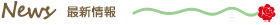最新情報